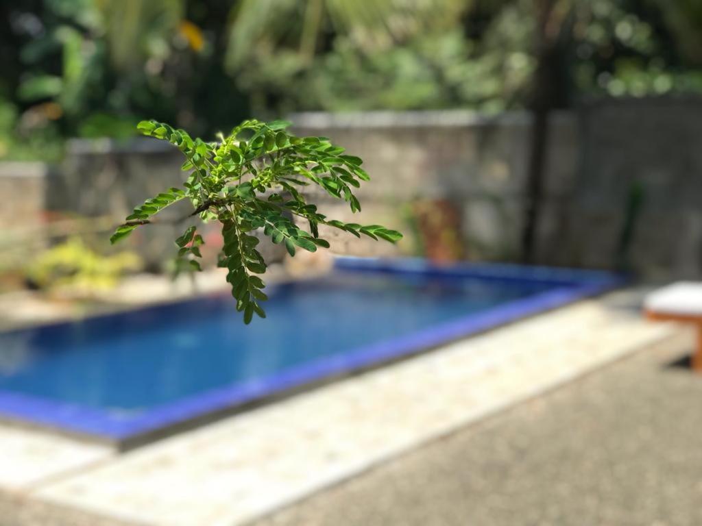 Peaceful Green Villa Унаватуна Экстерьер фото